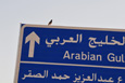 Kuwait City_Bird_201204