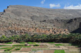 Wadi Ghul_Oasis_201111